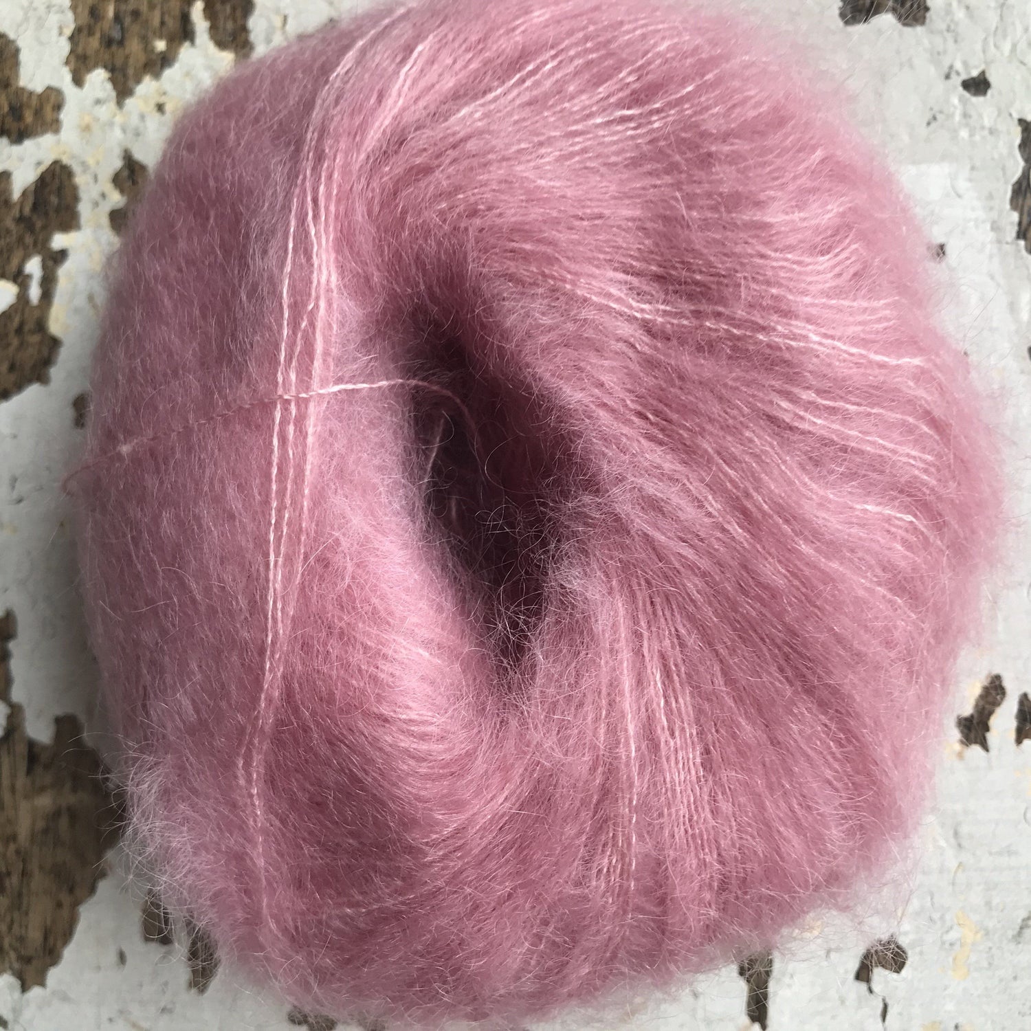Silky Kid