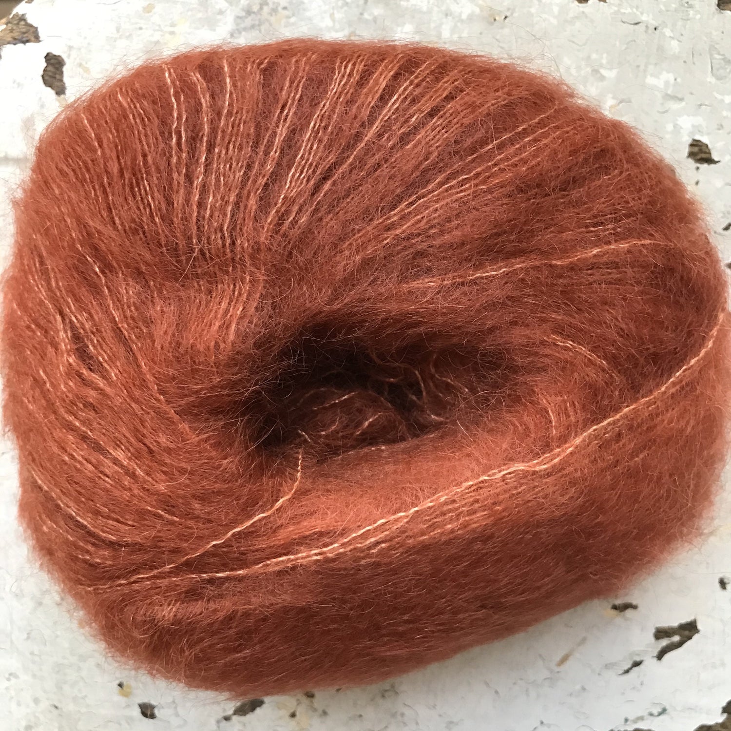 Silky Kid