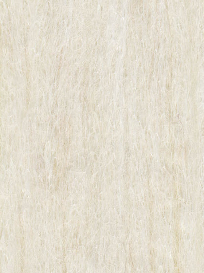 Stargazer Brushed